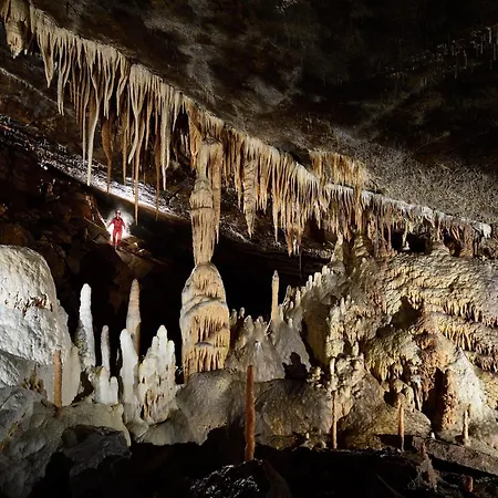 Le Cocon De Duplex Cosy à Deux Pas Des Grotte * Han-sur-Lesse